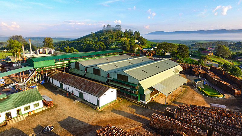 Ankole Tea Factory